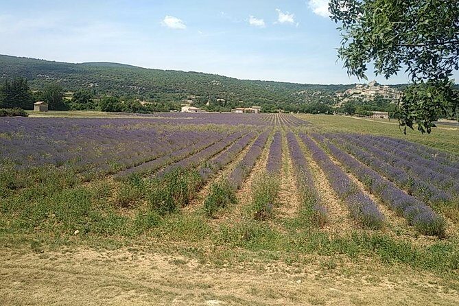 5-Hour Private Sightseeing Tour of the Provence from Marseille in Luxury Car - Cézanne in 15 minutes: Atelier des Lauves (a quick stop with purpose)