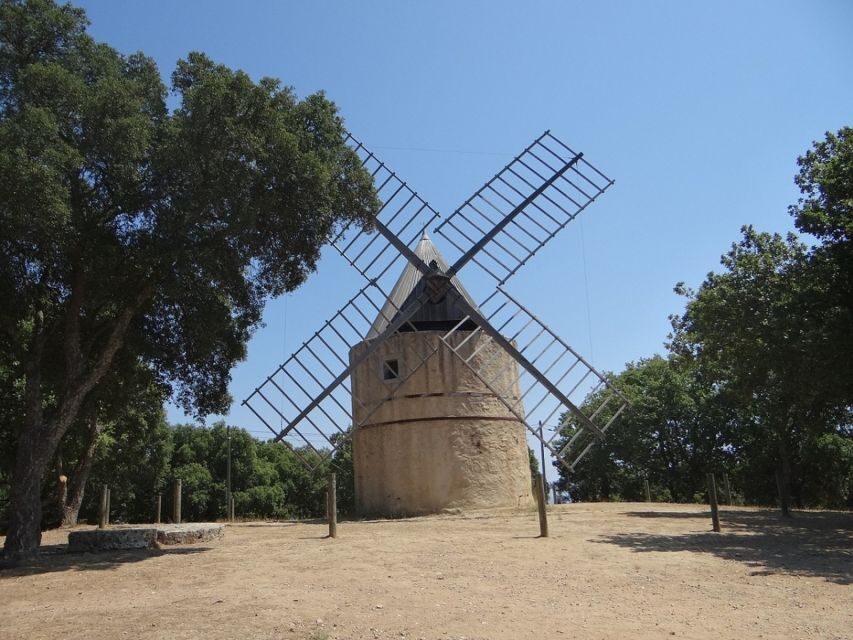 Coteaux d'Aix: Ste Victoire Wine Tour & Cezanne route - Group size and private tour style: when this is better than joining a crowd