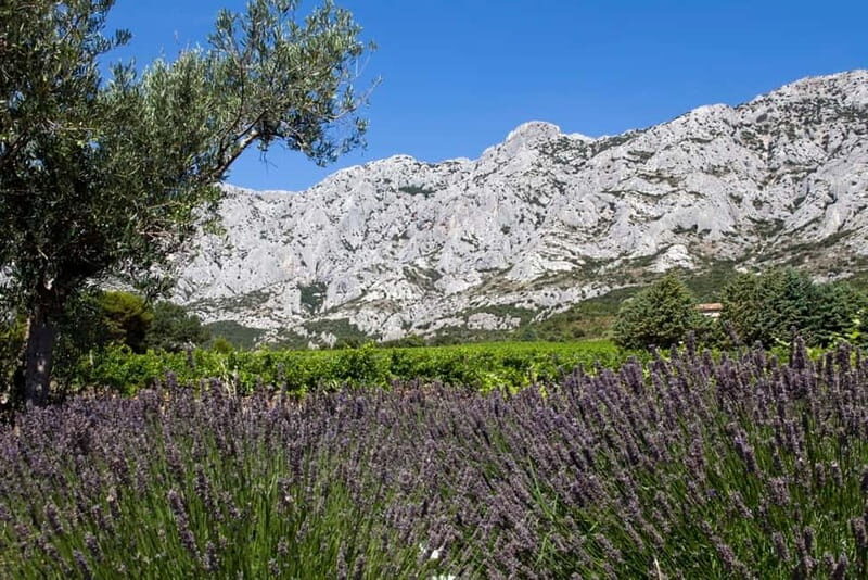 Coteaux d'Aix: Ste Victoire Wine Tour & Cezanne route - Transportation with AC and WiFi: a small comfort that matters