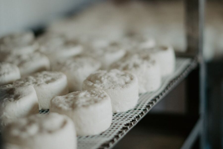 From Marseille: Aix en Provence Wine and Cheese Tour - What you’ll taste: rosé, whites, and reds (plus goat cheese)