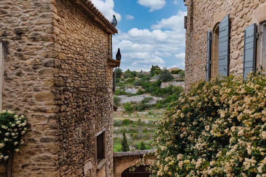 From Marseille Cruise Port: Luberon Villages - Price and What $175 Actually Buys You
