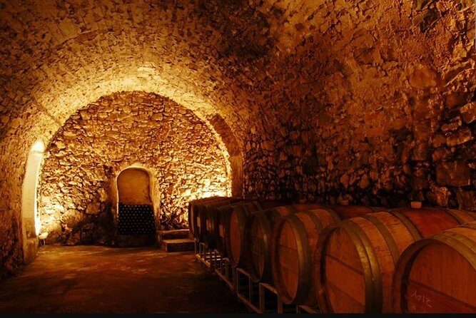 From Marseille : Sidecar Wine Tour to Cassis and Bandol - The sidecar setup: helmets, gloves, and who’s piloting
