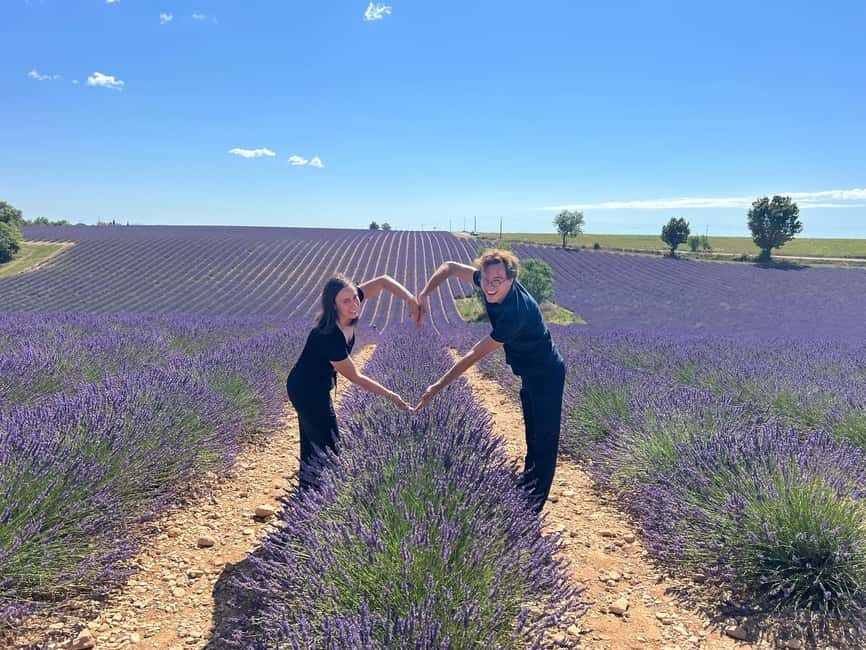 From Marseille: Valensole Lavenders Tour from Cruise Port - Marseille to Valensole: a cruise day that actually works