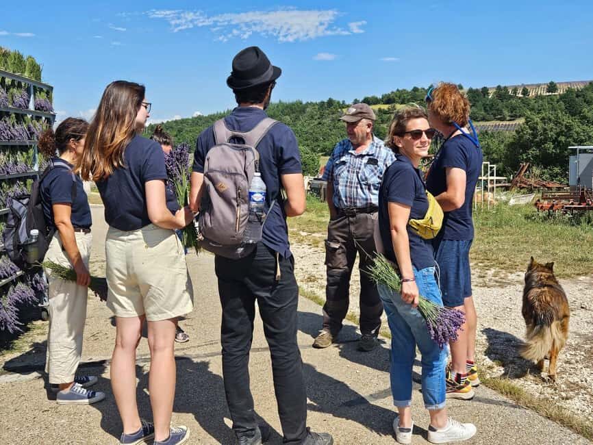 From Marseille: Valensole Lavenders Tour from Cruise Port - The local lavender producer stop: quality, essential oil, and practical thinking