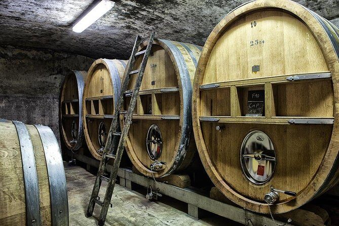 Full-day Wine Tour around Bandol & Cassis from Marseille - Bandol’s wineries: reds, rosés, whites, and how you taste smarter