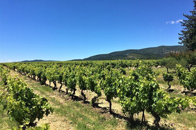 Full-Day Wine Tour around Luberon from Marseille - Price and Value: Why It Costs $192.22 (and What You’re Really Paying For)