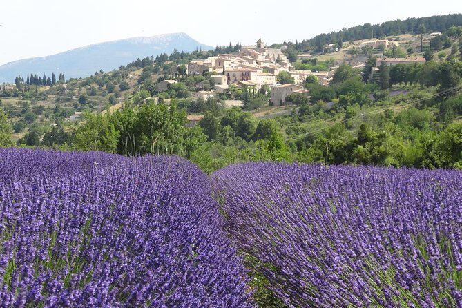 Lavender Tour Sault from Marseille - Gordes free time: wandering at your pace in a Provencal village