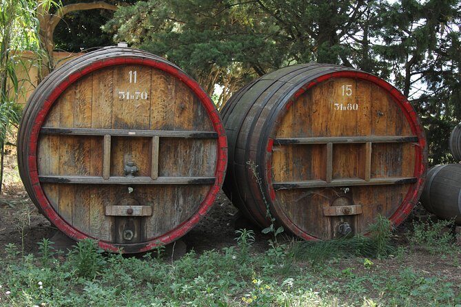 Wine Tour Bandol & Cassis from Marseille - Meeting point at Radisson Blu and how the 9:00 start shapes your day
